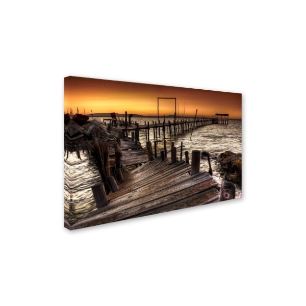 Paulo Gomes 'Carrasqueira' Canvas Art,22x32